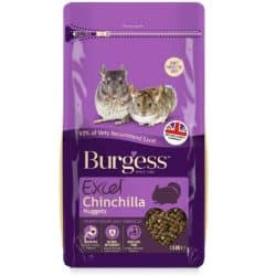 Burgess Chinchilla