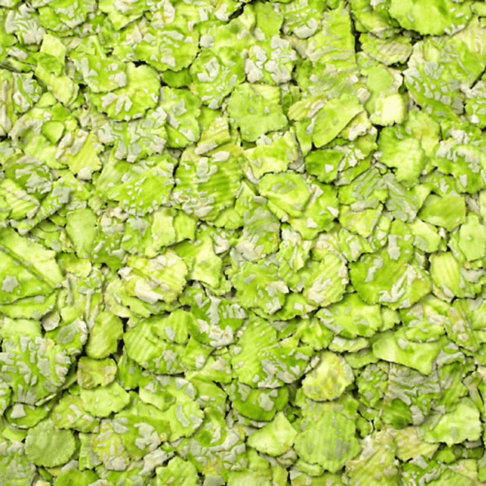 Design uden navn - 2024-07-26T143914.031 Design uden navn - 2024-07-26T143914.031