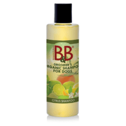 B&B Citrus Shampoo
