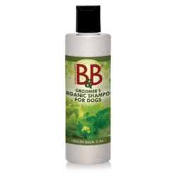 B&B Melisse Shampoo 2i1