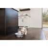 creekside_ceramic_pet_fountain_ls_dog_zoey_1_.jpg