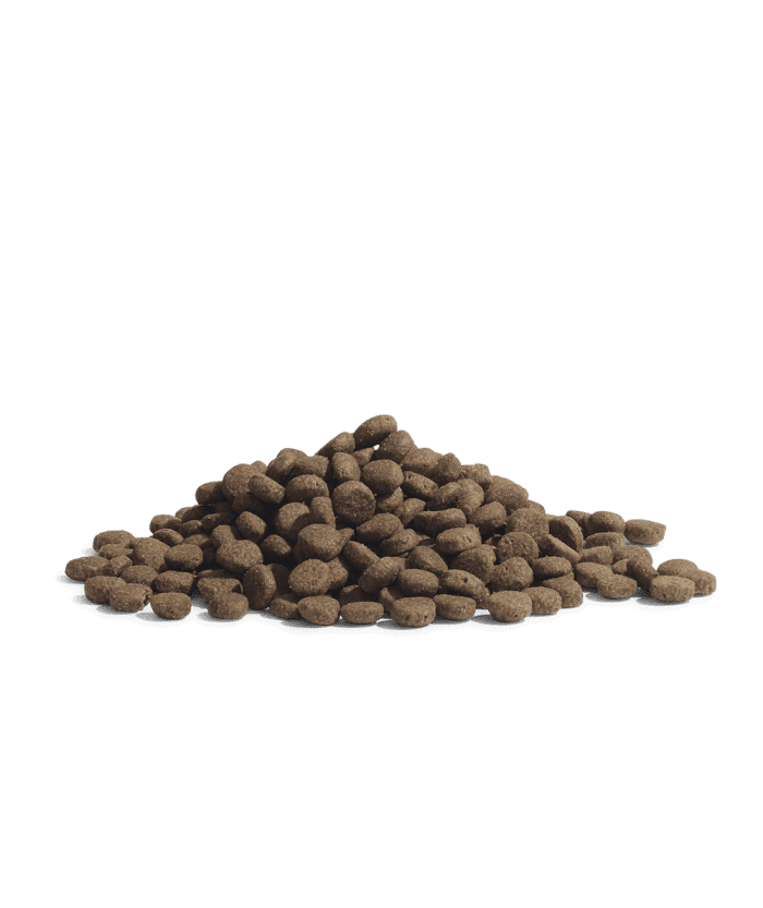 Essential the panther tørfoder Essential the panther tørfoder