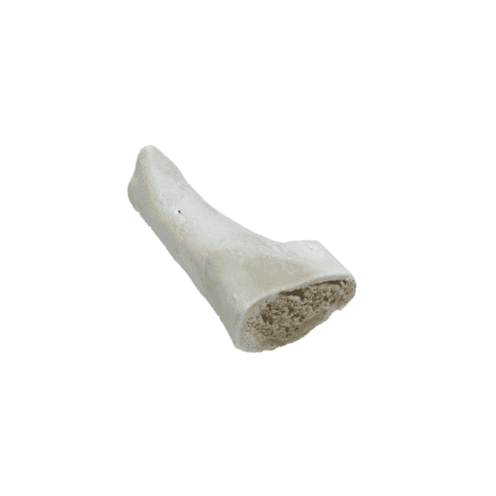 Design uden navn - 2024-07-04T143913.787