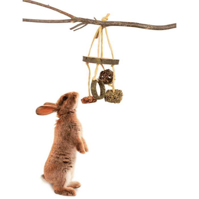 Design uden navn - 2024-07-31T144834.663 Design uden navn - 2024-07-31T144834.663