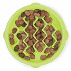 Kitty Slow Feeder