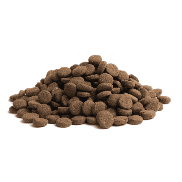 Design uden navn - 2024-08-02T155727.454 Design uden navn - 2024-08-02T155727.454