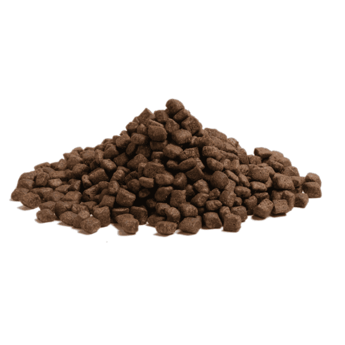 Design uden navn - 2024-08-02T163050.088 Design uden navn - 2024-08-02T163050.088