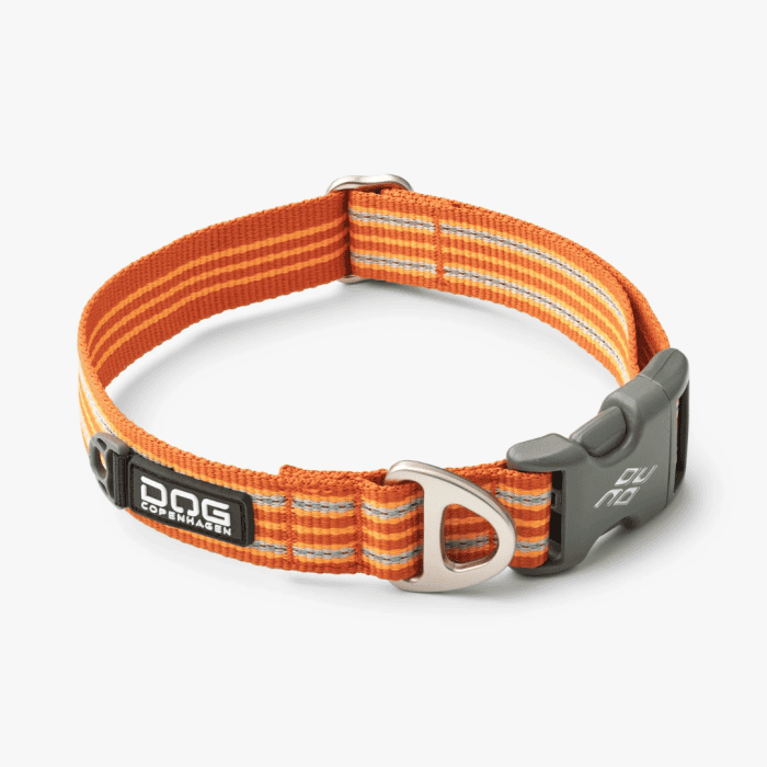 Design uden navn - 2024-08-06T140948.824