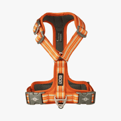 Dog Copenhagen Comfort Walk Air™ Sele - Orange Sun