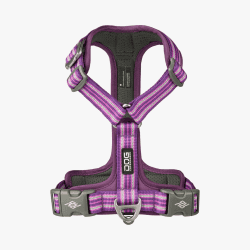 Dog Copenhagen Comfort Walk Air™ Sele - Purple Passion