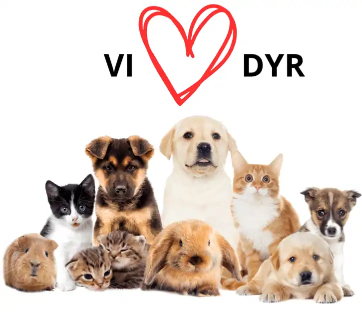 Grafik med teksten 'Vi elsker dyr' omgivet af hunde, katte og andre kæledyr