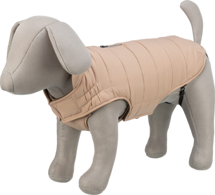 60114725-2e59-4f2b-b3b6-0756f9a3867a 60114725-2e59-4f2b-b3b6-0756f9a3867a