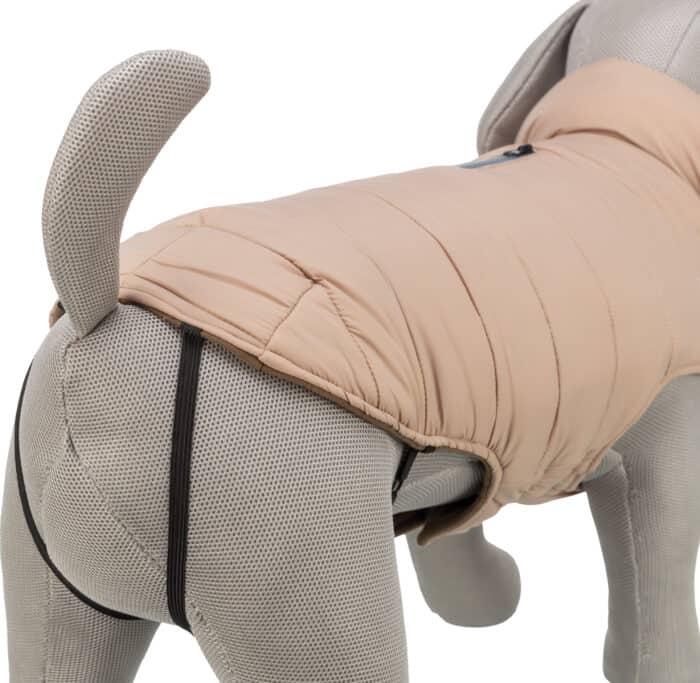 6dcb0185-ace2-4e9f-81cc-7bcb10363422 6dcb0185-ace2-4e9f-81cc-7bcb10363422