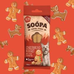 Soopa Dental Sticks Gingerbread Biscuit