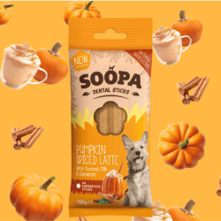 Soopa Dental Sticks Pumpkin Spiced Latte