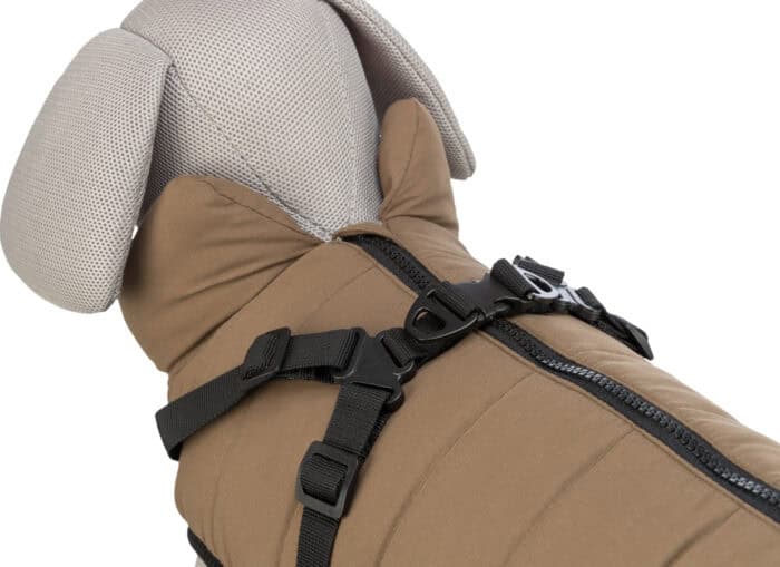 d97e8bc5-3bfe-449d-b8a3-3887b0bd1969 d97e8bc5-3bfe-449d-b8a3-3887b0bd1969