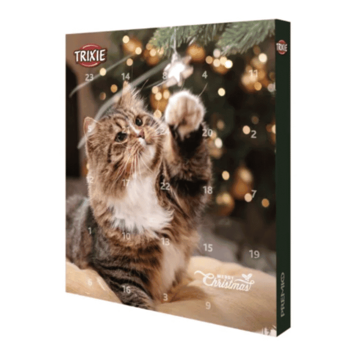 Julekalender Til Kat