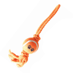 Reb Med Bold Orange
