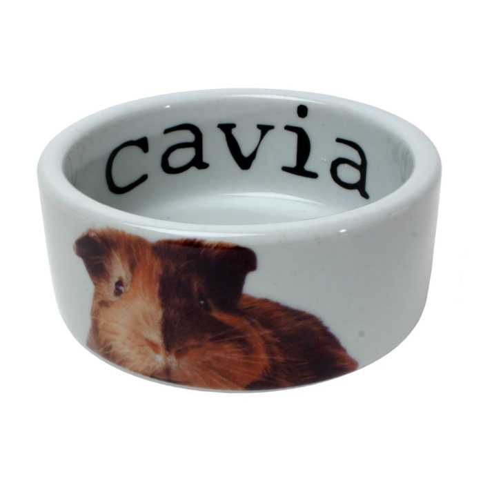 Design uden navn - 2025-01-03T115916.105
