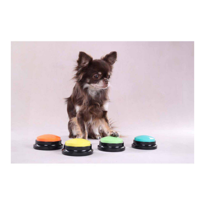 Design uden navn - 2025-01-23T113446.824 Design uden navn - 2025-01-23T113446.824