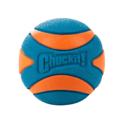 ChuckIt! Ultra Squeaker Bold