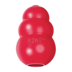 Kong Classic
