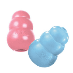 Kong Puppy