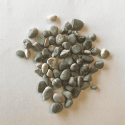 Akvariegrus Alps