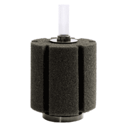 Bio-svampe Filter