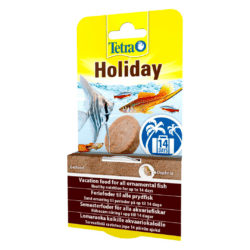 Tetra Holiday