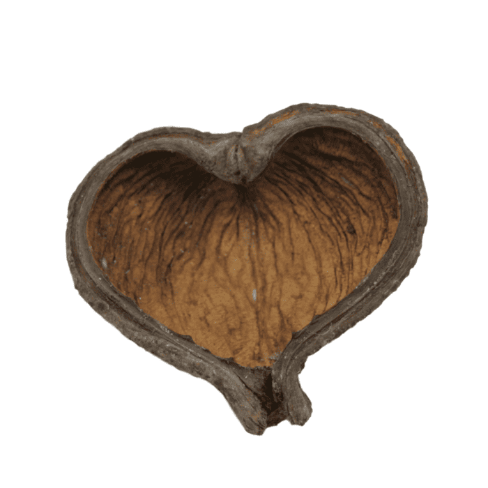 Design uden navn - 2025-03-18T142445.906