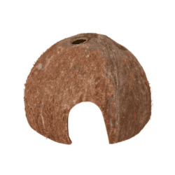 Kokosnød Hule