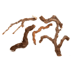 Winewood S 20-40 cm.