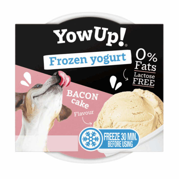 YowUp Dog Frozen Yoghurt Bacon Kage