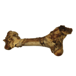 Gigant Okseben XL 42 cm.