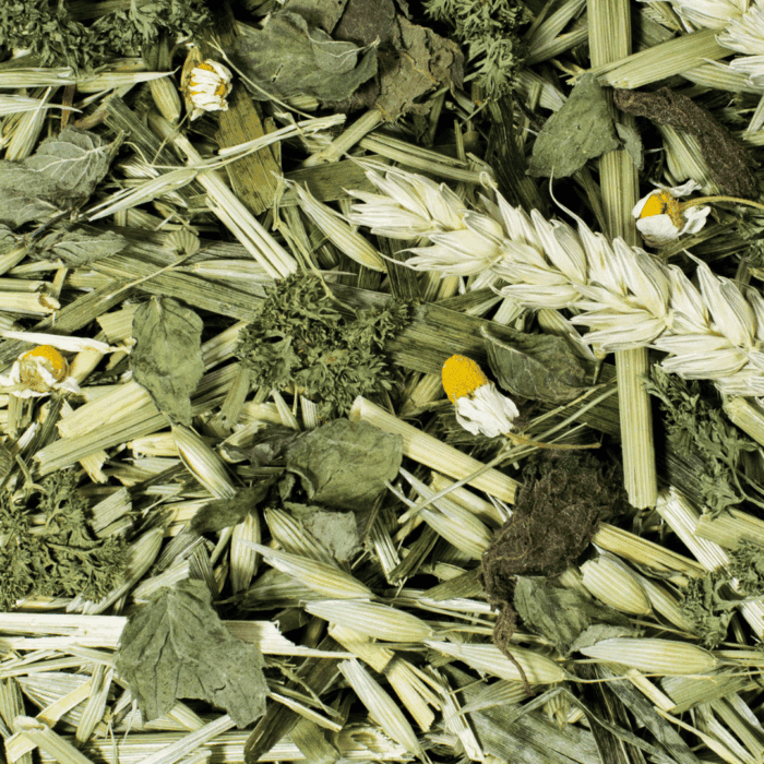 Design uden navn - 2025-09-18T161606.240 Design uden navn - 2025-09-18T161606.240