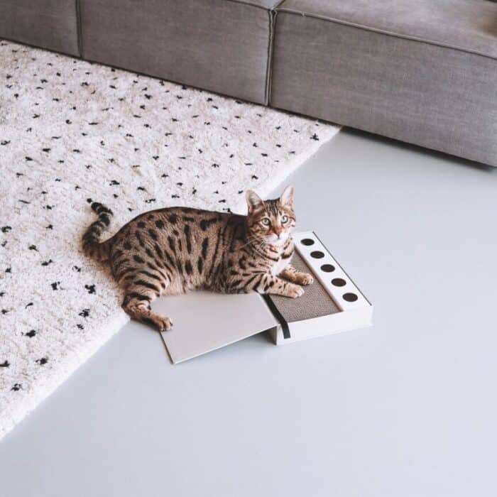 b3cdb79c-6883-46a1-b10f-7abc08588ca6_1 b3cdb79c-6883-46a1-b10f-7abc08588ca6_1