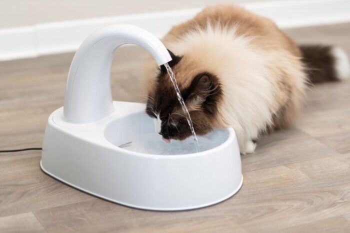 f408784d-4e48-4b86-b206-255737e0db50 f408784d-4e48-4b86-b206-255737e0db50