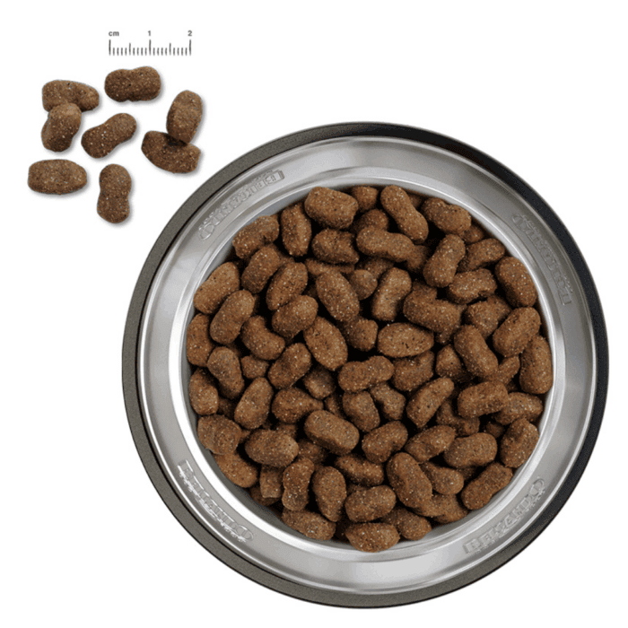 Design uden navn - 2025-11-18T155047.231 Design uden navn - 2025-11-18T155047.231