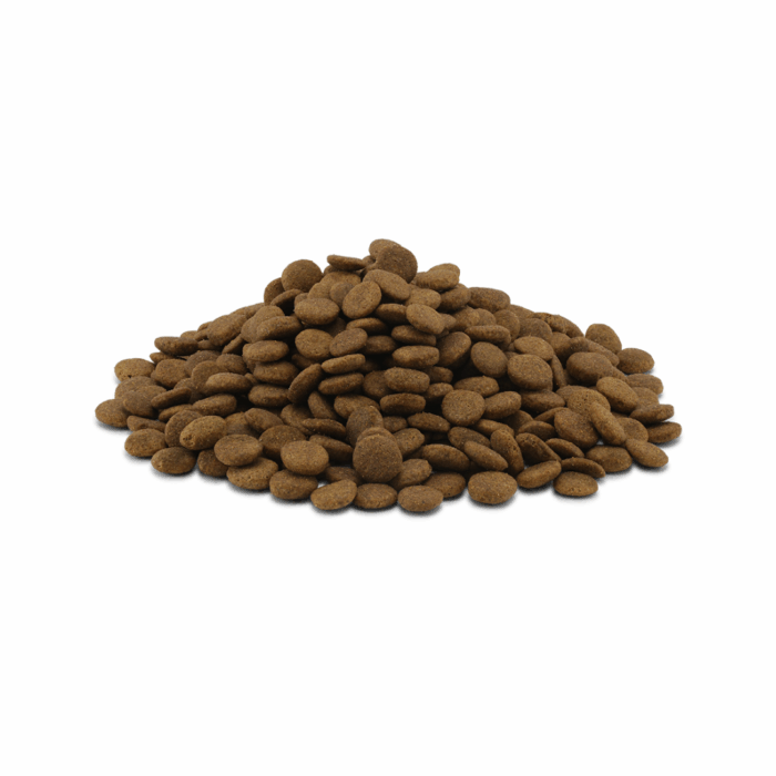 Design uden navn - 2025-11-20T124936.591 Design uden navn - 2025-11-20T124936.591