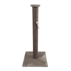 Kradsestamme Sally Grå