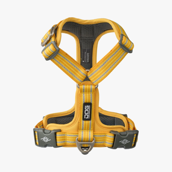 Design uden navn - 2026-01-31T134130.341